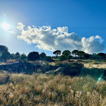 Casa Rural, “El Andador” El Hoyo de Pinares Exteriör bild