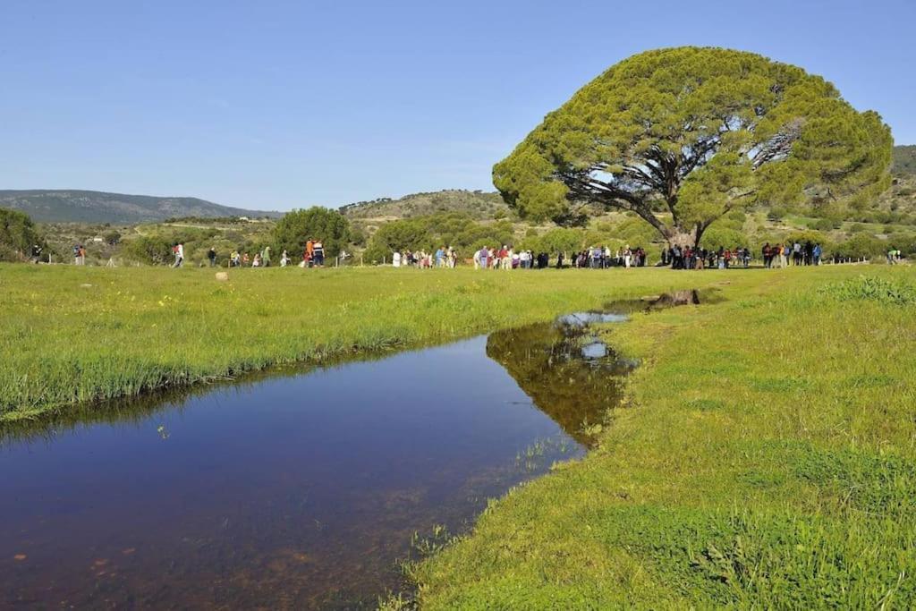 Casa Rural, “El Andador” El Hoyo de Pinares Exteriör bild