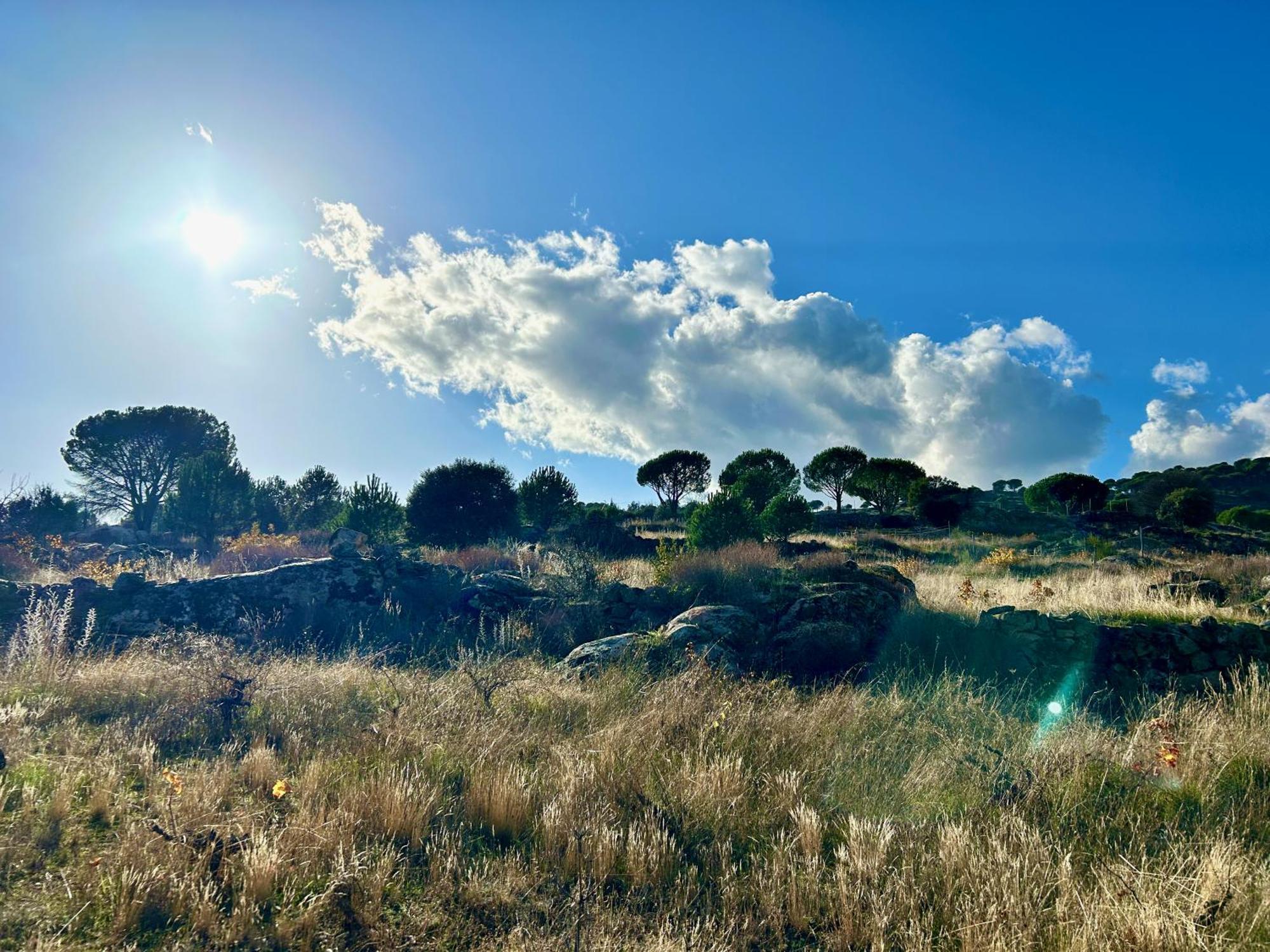 Casa Rural, “El Andador” El Hoyo de Pinares Exteriör bild